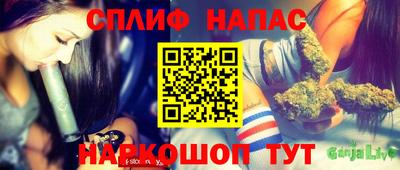 apvp Партизанск