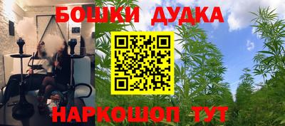 apvp Партизанск