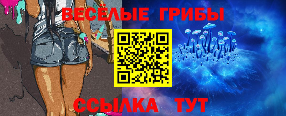 Псилоцибиновые грибы мицелий  Галлюциногенные грибы прущие грибы  продажа наркотиков  Советский 