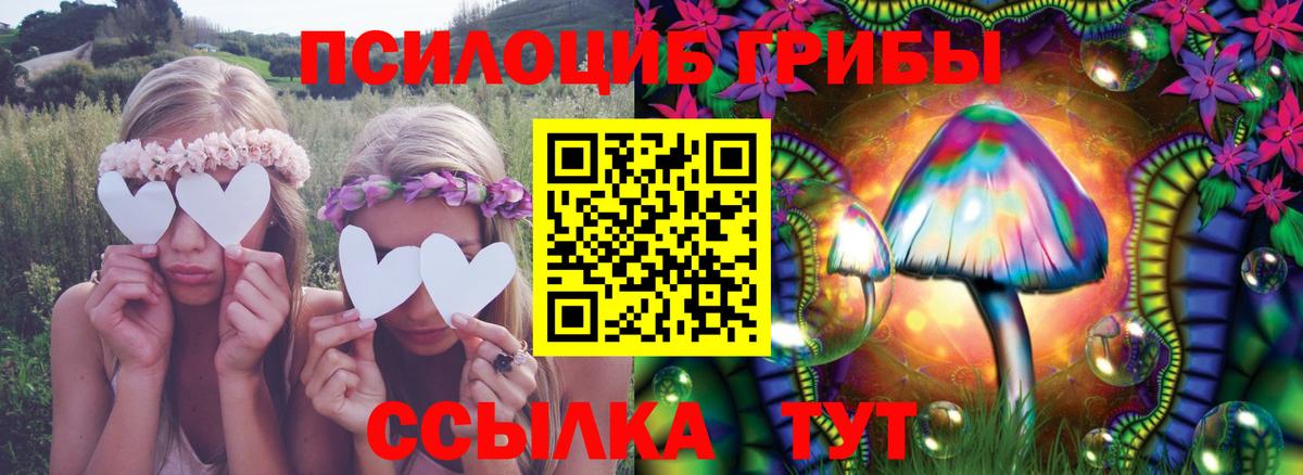 Галлюциногенные грибы мицелий  Галлюциногенные грибы Cubensis  Советский  Вход с VPN 