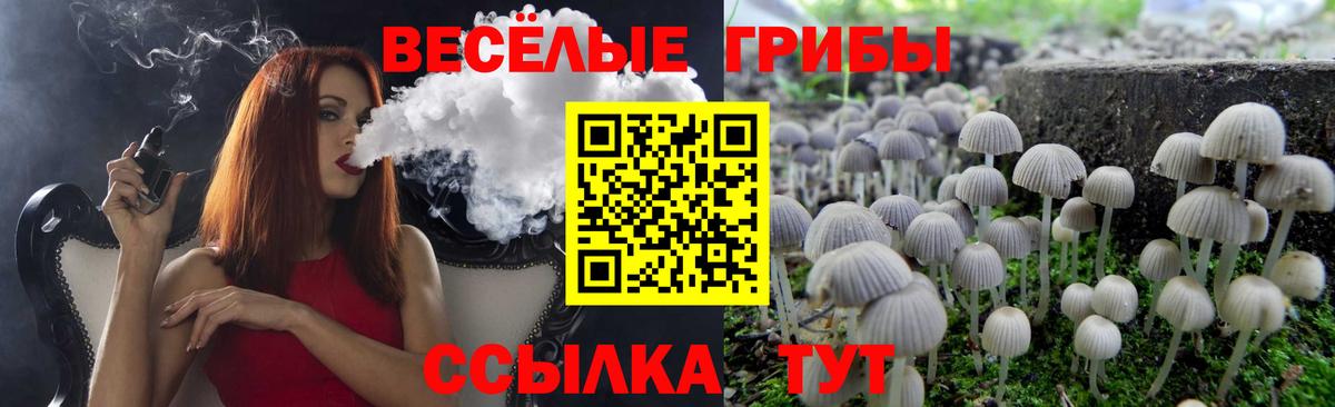 Псилоцибиновые грибы MAGIC MUSHROOMS Советский