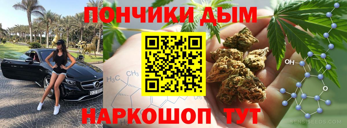 Каннабис индика  Канабис OG Kush  МАРИХУАНА сатива  Канабис сатива  Советский 